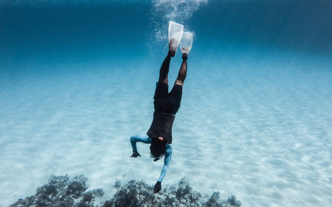 Top 5 dive sites around the world to explore in 2024