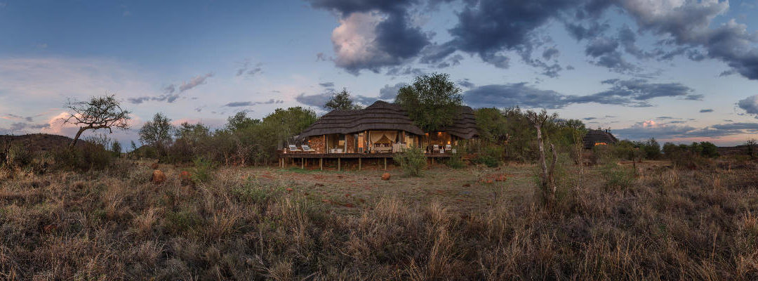 A Guide to Madikwe Hills Safari Lodge