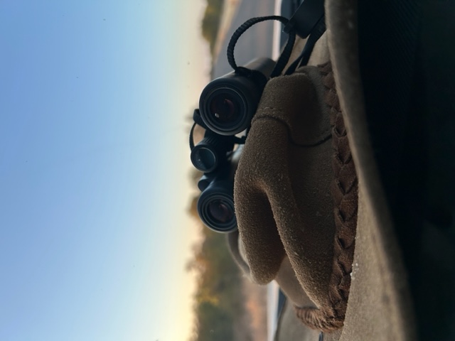 Road tripping with the family!