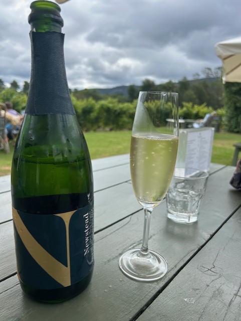 Things to do in and around Plett.