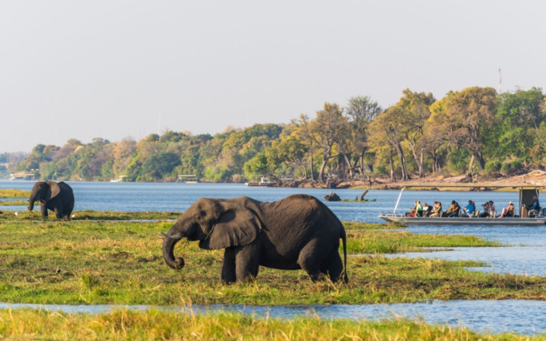 The Ultimate Bucket List: Why Southern Africa Should Be Your Next Adventure in 2025