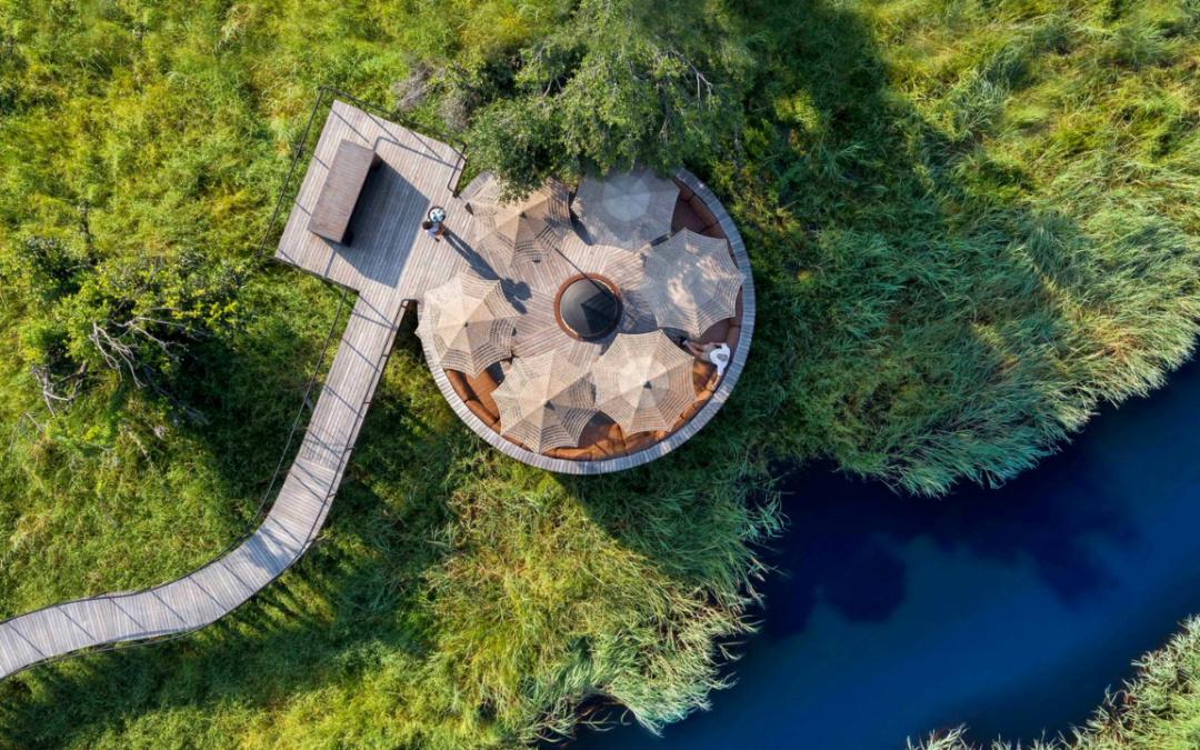 Wild Wanderlust: Your Ultimate Guide to Exploring the Okavango Delta