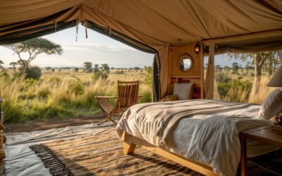 Effortless Travel Planning to Southern Africa: How We Make It Easy for Executive Assistants
