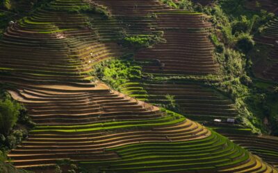Vietnam Trip Package: Discover Authentic Culture Beyond Tourist Trails