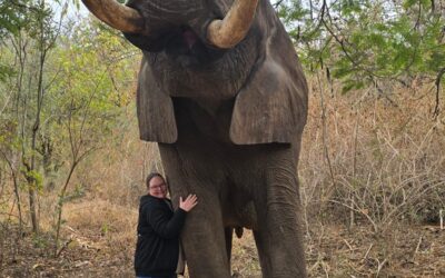 Tammy’s Safari Adventure: Exploring Kruger and Beyond